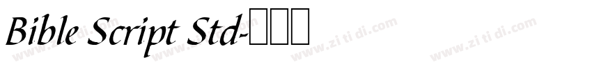 Bible Script Std字体转换